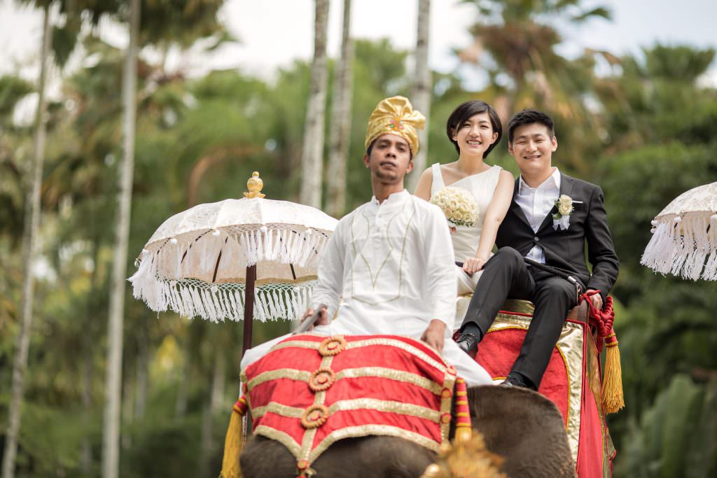 Bali prewedding photography at Taro Elephant Park