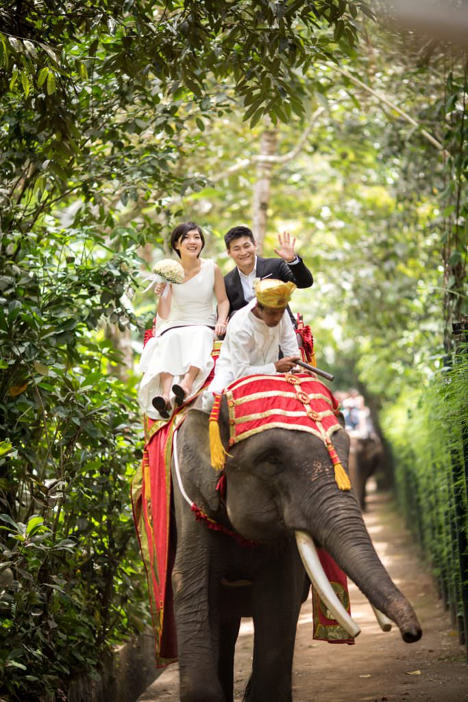Bali prewedding photography at Taro Elephant Park