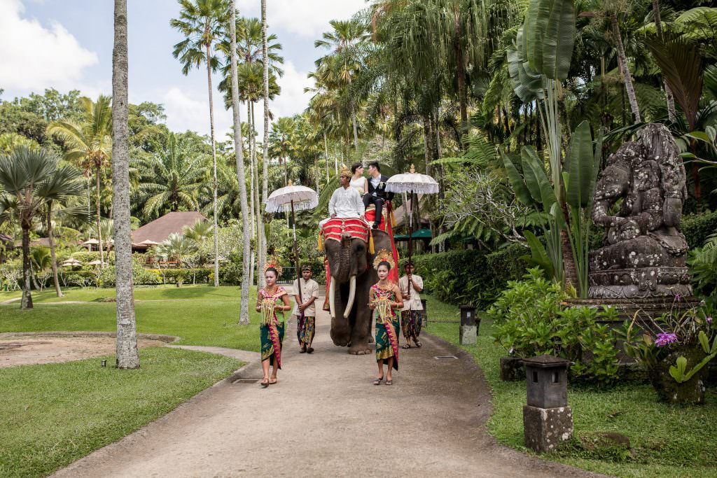 Bali prewedding photography at Taro Elephant Park
