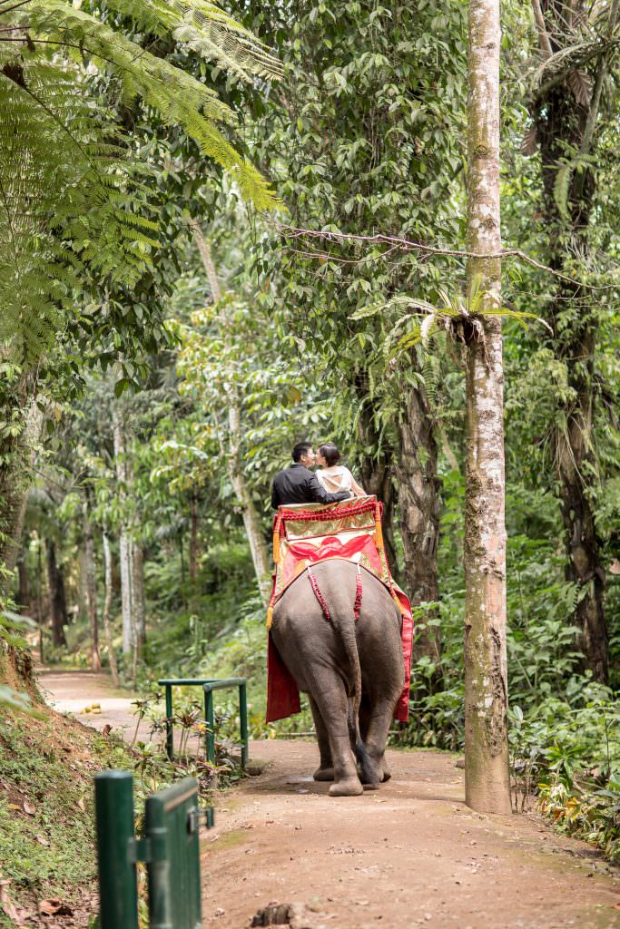 Bali prewedding photography at Taro Elephant Park