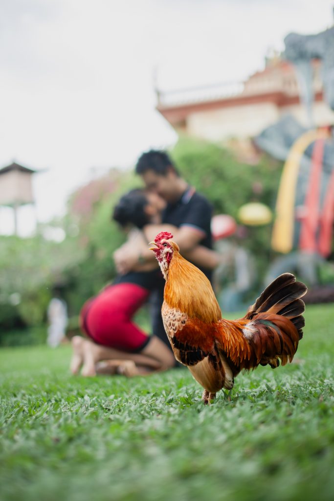 Bali Photography Journey - Couple photography Bali