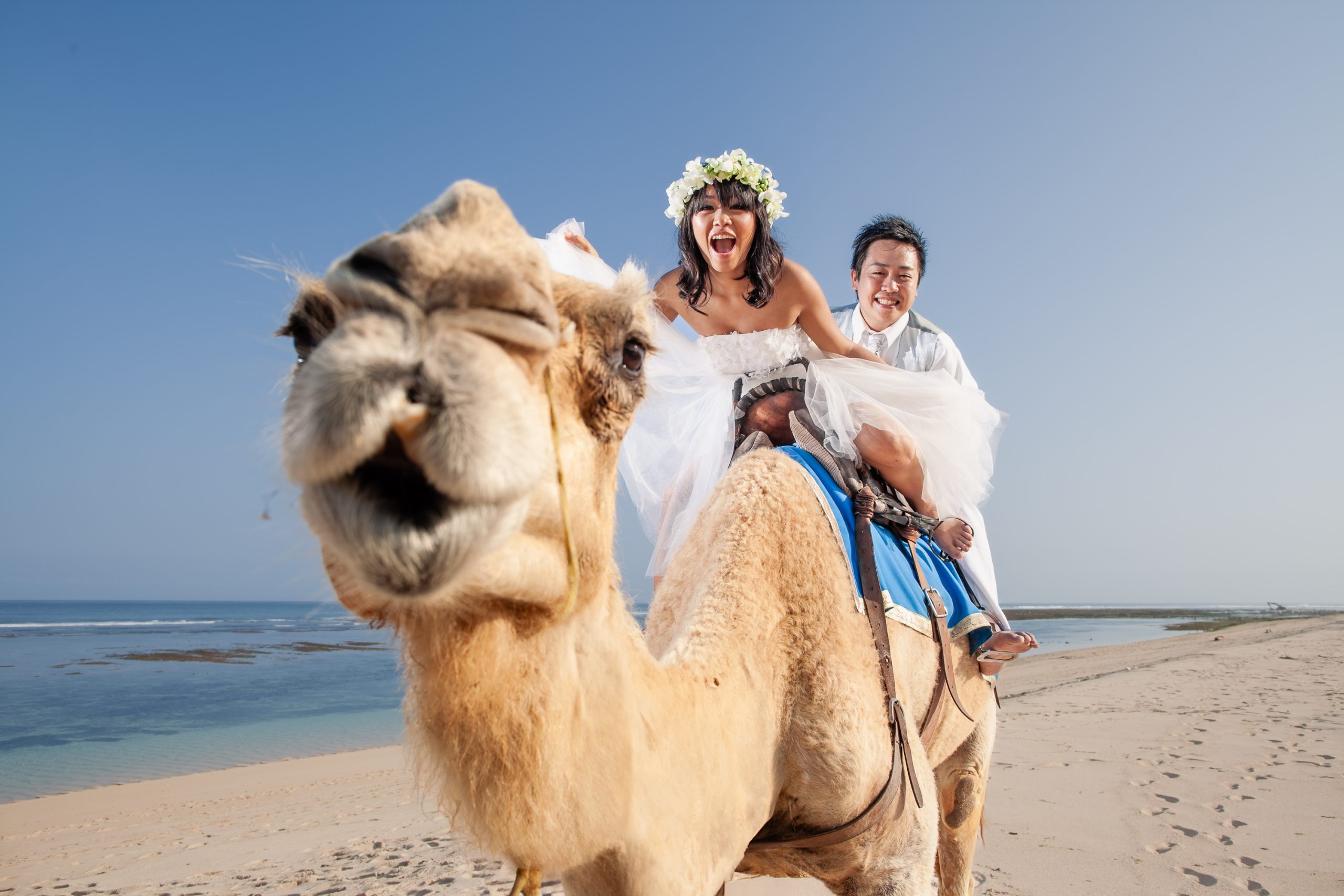 Bali Pre-Wedding Photographer