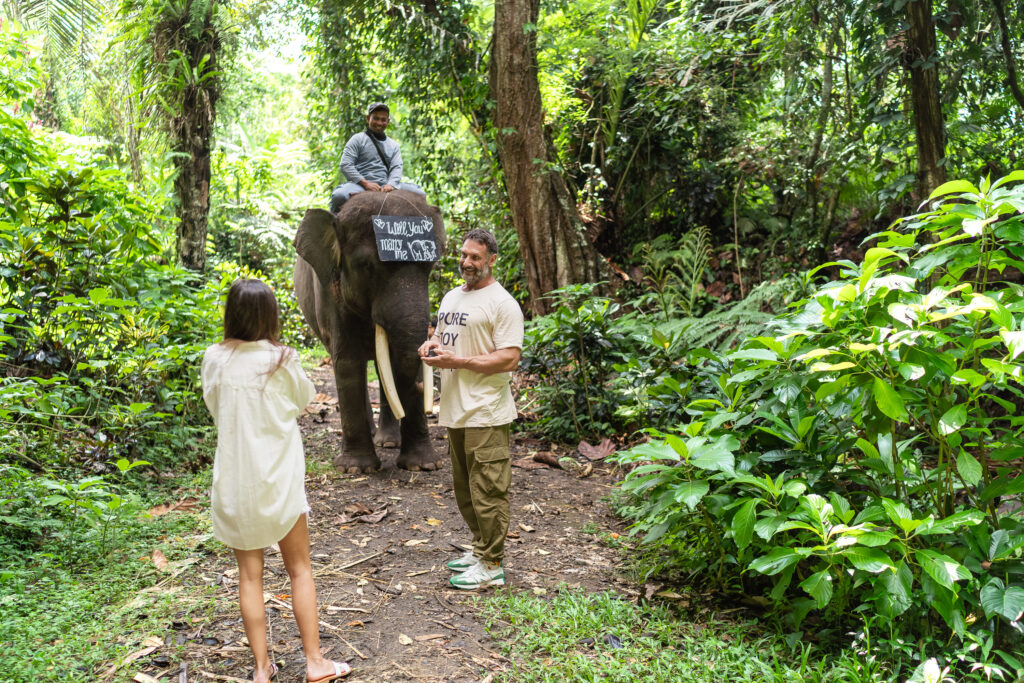 Mason Elephant Park - Engagement proposal photos