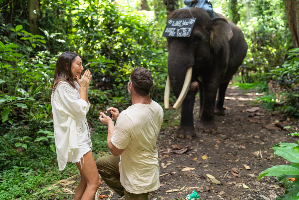 Mason Elephant Park - Romantic proposal photography