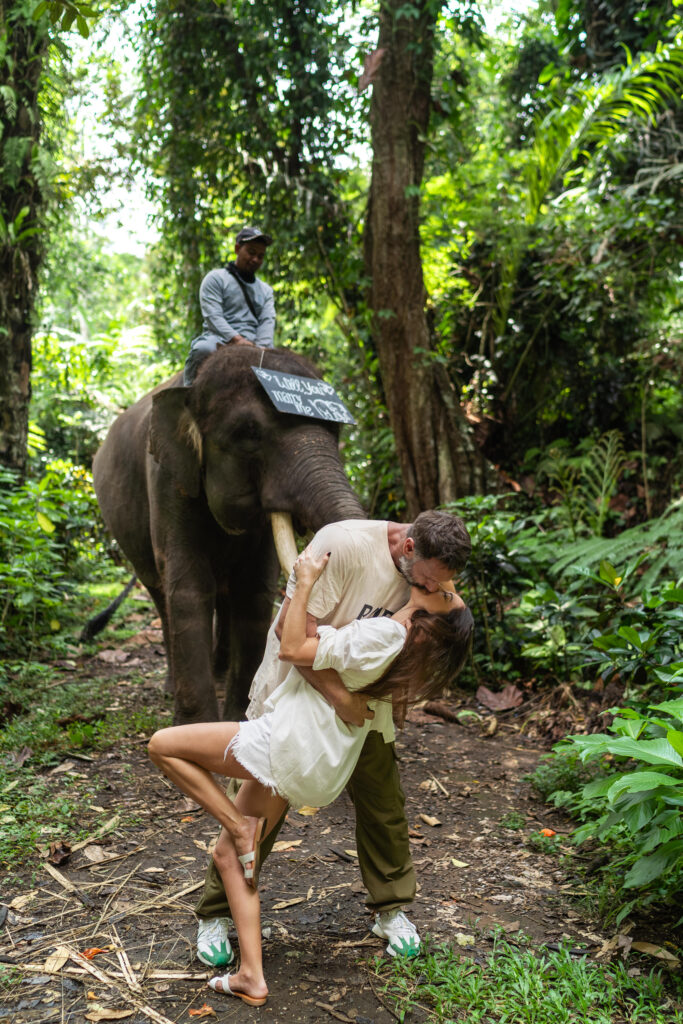Mason Elephant Park - Proposal photography story