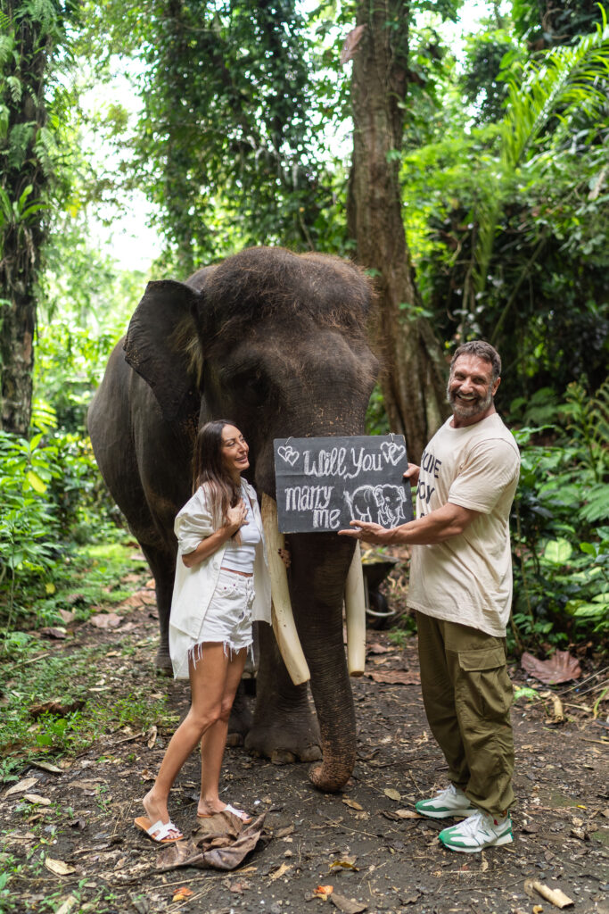 Mason Elephant Park - Proposal photography experience