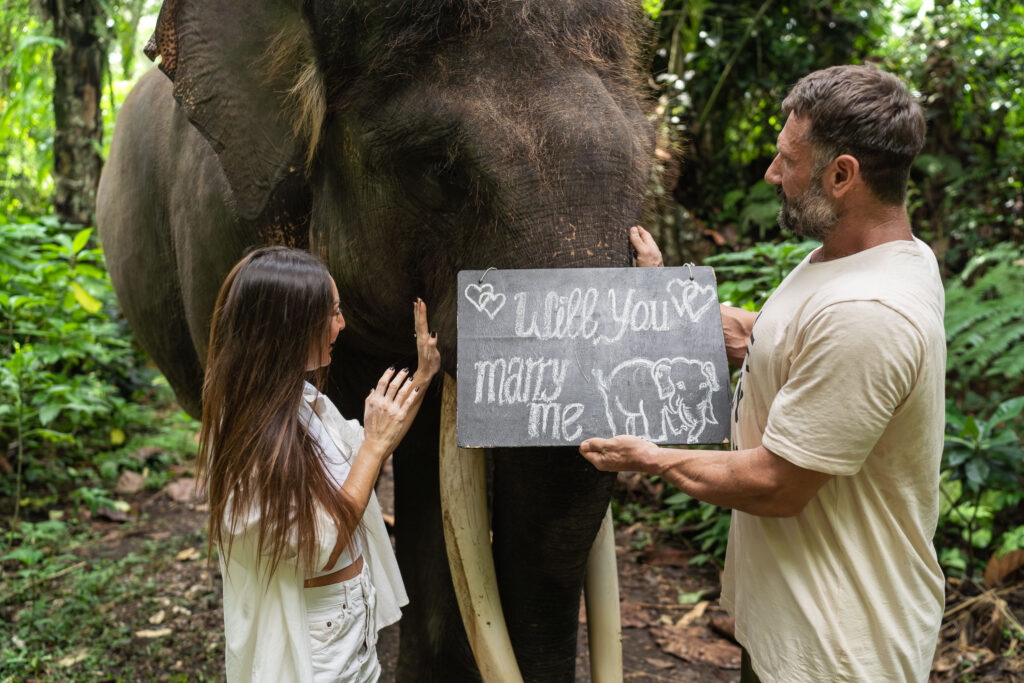 Mason Elephant Park - Romantic Bali proposal