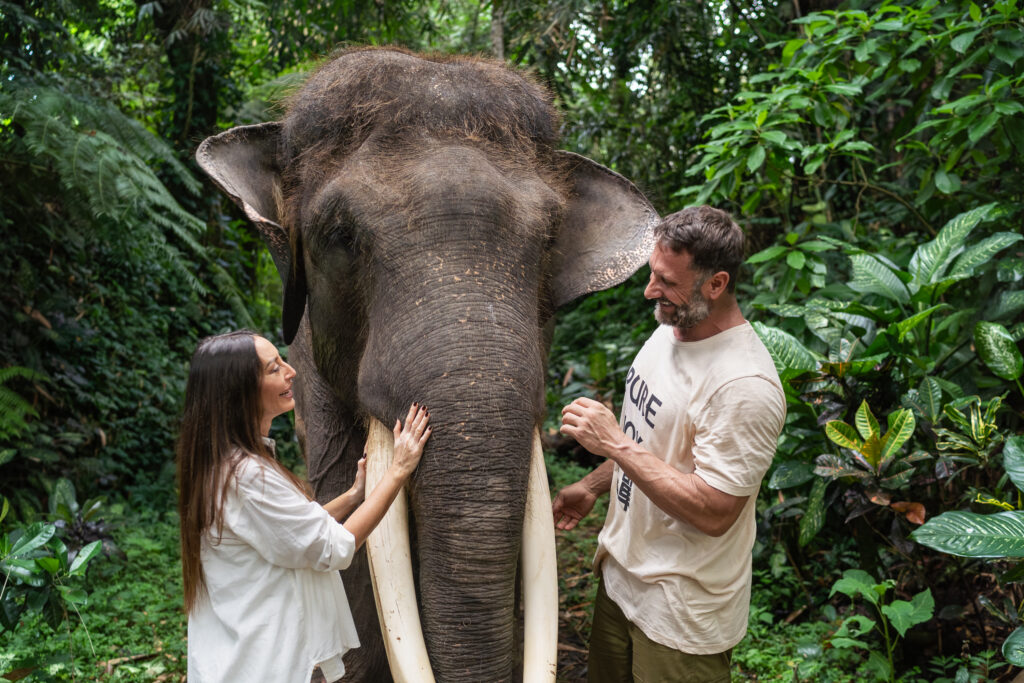 Mason Elephant Park - Proposal photography portfolio