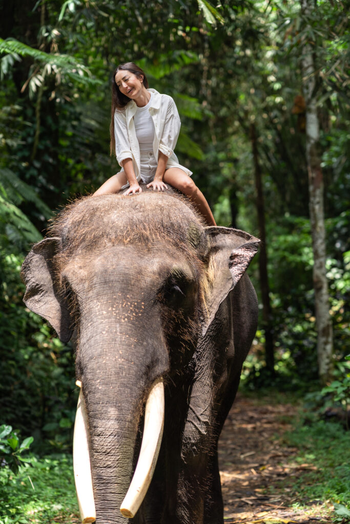 Mason Elephant Park - Engagement photography Bali