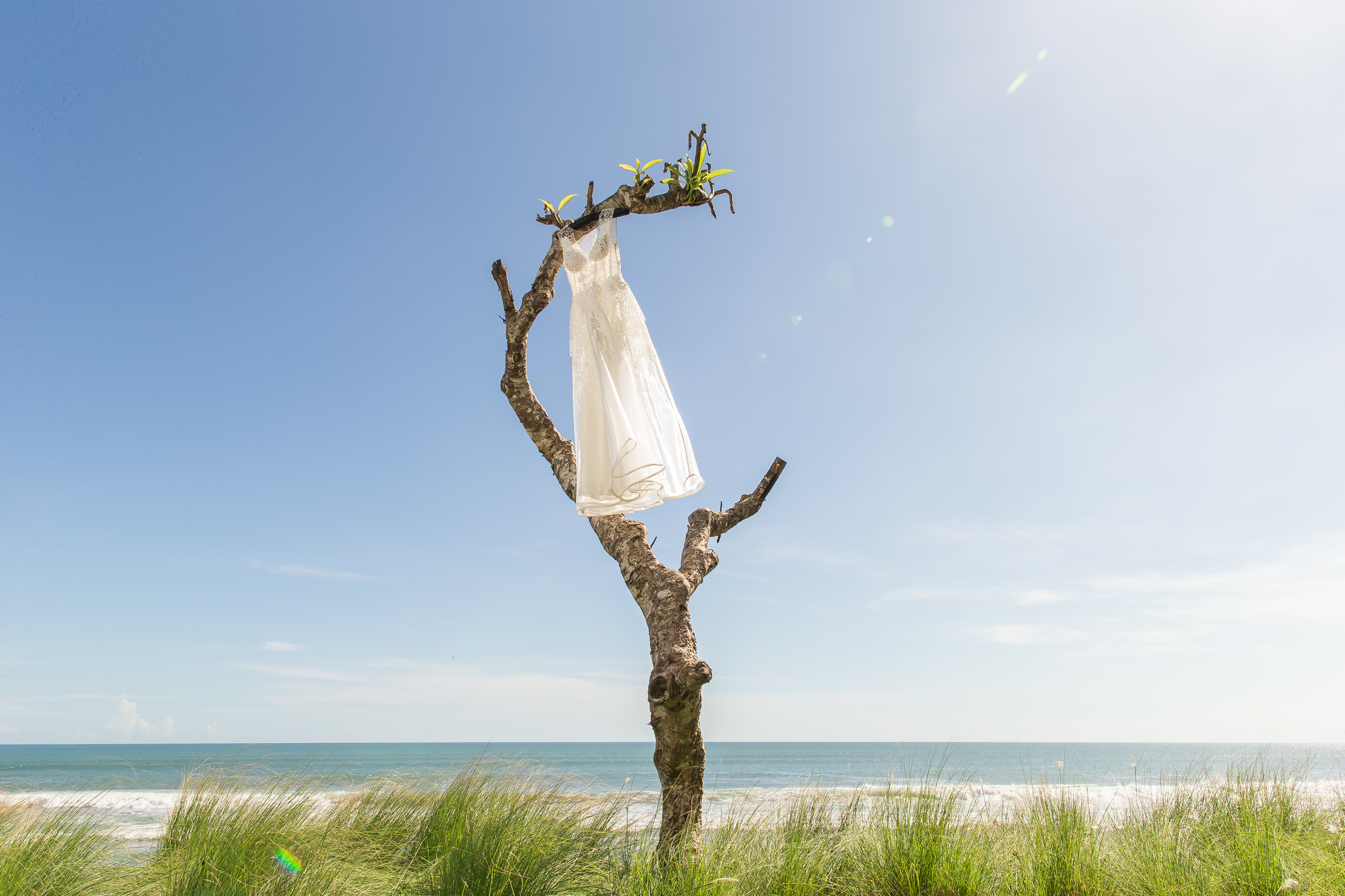 Alila Seminyak Wedding - Wedding dress hanging on a driftwood tree by the beach